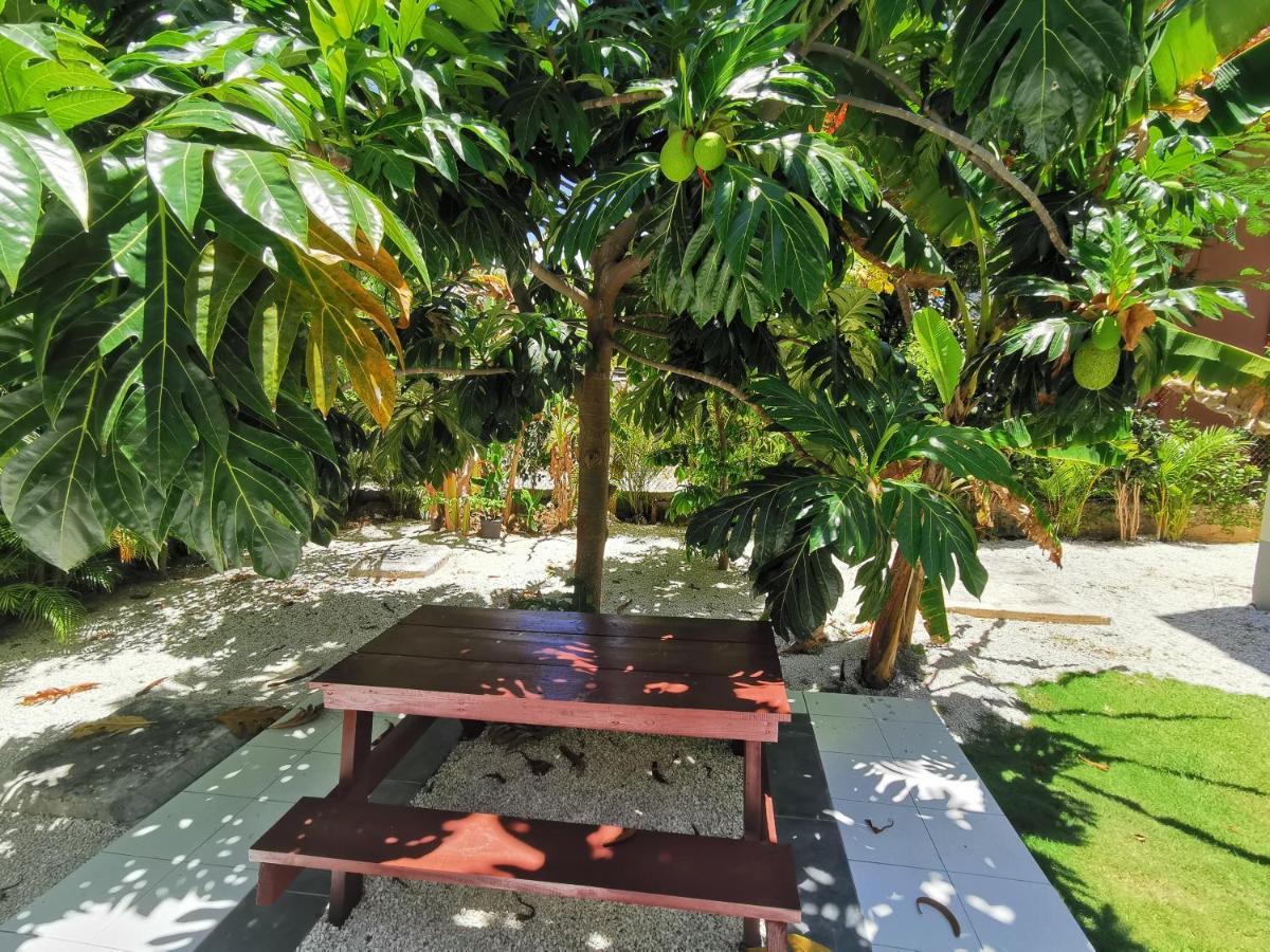 Coral Studios Playa Los Corales - Beach Club And Spa Πούντα Κάνα Εξωτερικό φωτογραφία
